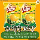 [기록] 2024년 1월의 요기땅 -중-