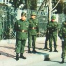 박정희로-31 이미지