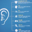 정릉밝은소리보청기 | 노인보청기 가격, 전문가가 알려주는 실구매가