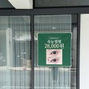 보담 | [대전 도안동] 속눈썹펌,관저동 속눈썹펌 보담브로우 시술 후기