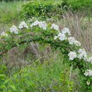 별빛펜션 이미지