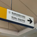 뚝섬한강공원-86 | [뚝섬 한강 수영장] 서울 수영장 / 뚝섬 한강 수영장 / 뚝섬유원지 / 뚝섬 한강 공원 / 자양역 / 한강...