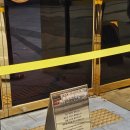 오렌지곰카페 | 광화문 TWG 티테디스 곰젤리 선물 구매 후기