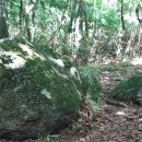 조강농장 이미지