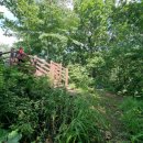 원창4리 이미지