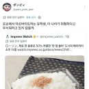 일본에서 300엔에 파는 도시락 ㄷㄷㄷ 이미지