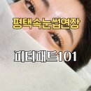 피터패트101 (Pitapat101)