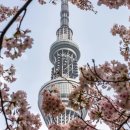 재난영상감시 CCTV(5) 이미지