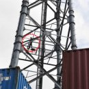 부산신항국제터미널(PNIT) 이미지