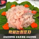 멍게 | 속초회맛집 막써는회포차 광어, 도다리, 멍게 솔직후기
