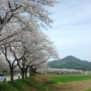 【240417】[단독보도/尹탄핵사유 1] 대통령실 공천개입 입증 유영하 당선자 육성 최초 공개 “尹이 요번에 밥 먹으러 갈 때 이미지