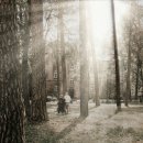 품마을국제결혼 이미지