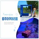 충주아쿠아리움 아이랑 다녀온 후기 입장료 주차 운영시간 정리 갈만한곳 코스 추천