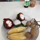 여행]올드타운 구글평점 높은 가성비 로컬맛집 노스랜드하우스 노스랜드레스토랑 northland house!