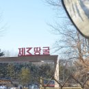 행복한여행사 이미지