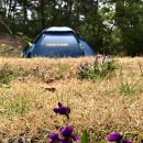 아지 청소년 야영장 이미지