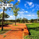 여주-1078 티스토리