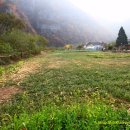 덕우민박 이미지