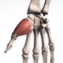 에스엘메디칼 이미지