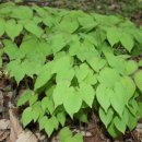 양기농장 이미지