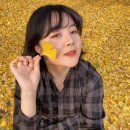 지선농장 이미지