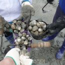 오이도어촌체험휴양마을 이미지