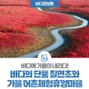 장사어촌체험휴양마을 | 바다에 가을이 내리다! 바다의 단풍 칠면초와 전국 어촌체험휴양마을 소개