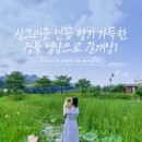 삼지수변공원 이미지