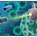 이앤컴퍼니 이미지