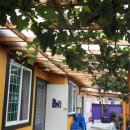 속리산펜션 이미지