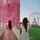 당진여행 당진 가볼만한곳 아미미술관 - 삽교호놀이동산 관람차 포토존