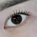 하루비 | 부산 전포동 속눈썹펌 하루비뷰티 노글루 수분펌 자연스럽고 자극없는 속눈썹펌 추천