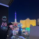 라스베가스 | 라스베가스 코스모폴리탄 호텔 파운틴뷰 테라스룸 후기