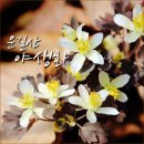 운길산 세정사 야생화 만나러 가는길
