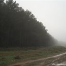 24.5월 11일 일-비에 젖은옷과 진흙투성이 등산화 ( Oca - Villafria 31km) 이미지