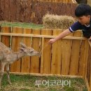 지남농장 이미지