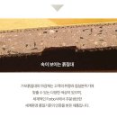 F6650 이미지