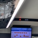 대전 소품샵 투어 후기 (숍피크·소품샵마중·라이커블·치피·이요록…)