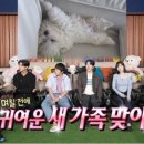 도그어스플래닛에듀케이션 | 전현무 부모님 위해 유기견 입양 나 혼자 산다