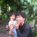 준호농장 이미지