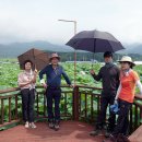 (주)진주투어 이미지