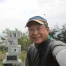 함평나비(무안) 이미지