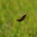 사화로-2 이미지