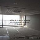 씨쓰리바이오 이미지