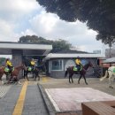 민속자연사박물관 이미지