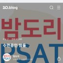 밤도리PSAT