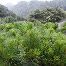 오복펜션 이미지