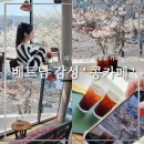 콩카페대구수성못점 | 대구 수성못 벚꽃뷰 카페 :: 콩카페 벚꽃 포토존 명소 솔직 후기 개화 근황