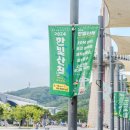 한빛포크 이미지