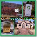 트리하우스 | 숲속 나무 위에서 즐기는 힐링 타임, 괴산 트리하우스 가든 솔직 후기